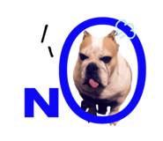 258500574