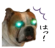 258500587