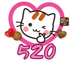 258588020