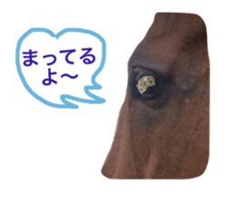 25864028