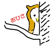 258648675