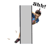 258716544