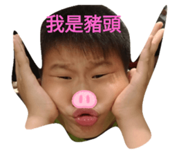 258731336