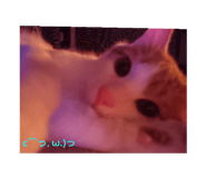 25876415
