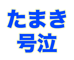 258790202