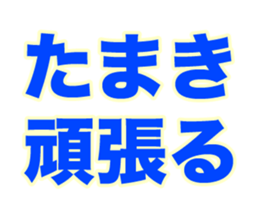 258790204