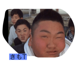 258853368