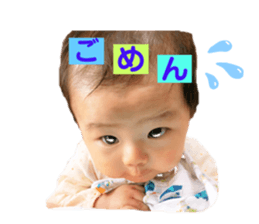 258863502