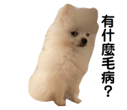 258871425