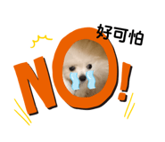 258871432