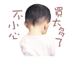 25900837