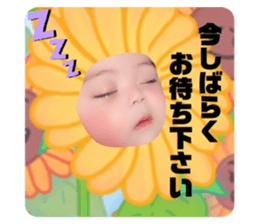 259013632
