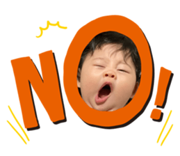259016254