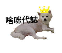 259025168