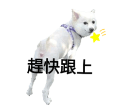 259025177
