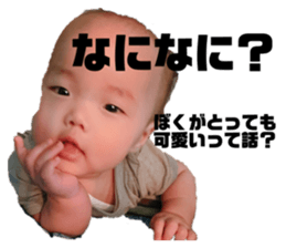 259032329