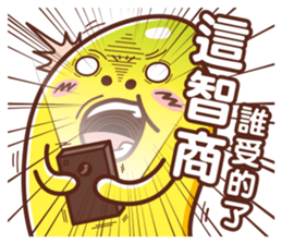 25904349
