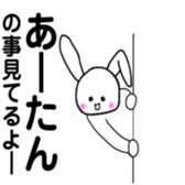 259096019