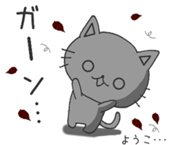 25921408