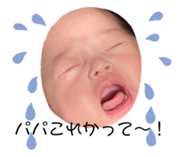 259222934