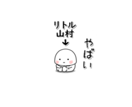 259246494