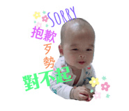 259288606