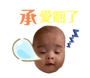259288613