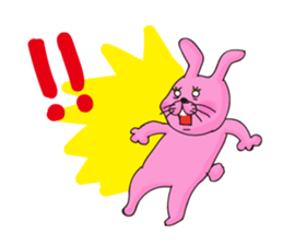 2593238