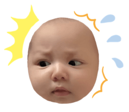 259371982