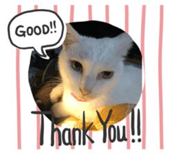 259372218