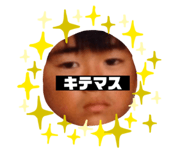 259394581