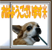25943184