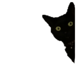 259445295