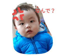 25945684