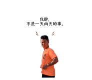 259529506