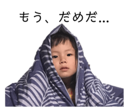259533014