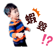 259560210