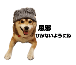 259654012