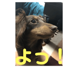 259768709