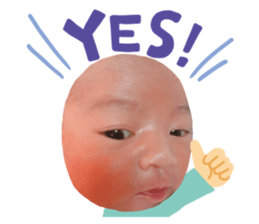 259778395