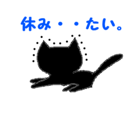 2598164