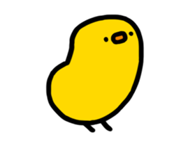 259901697