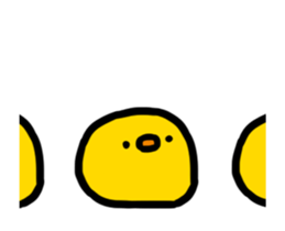 259901704