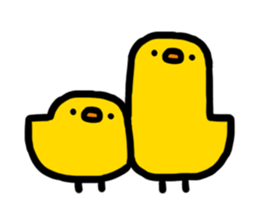 259901705