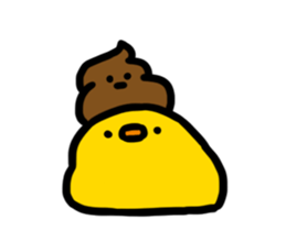 259901706