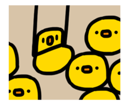 259901708