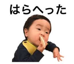 25993149