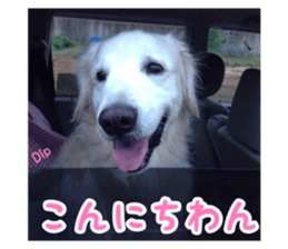 25993731