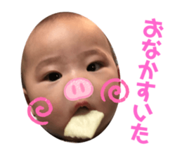 259984178