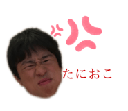 260070582